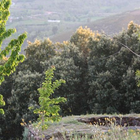 O Bilho Bed & Breakfast Vinhais Exterior foto