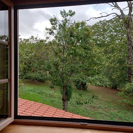 O Bilho Bed & Breakfast Vinhais Exterior foto