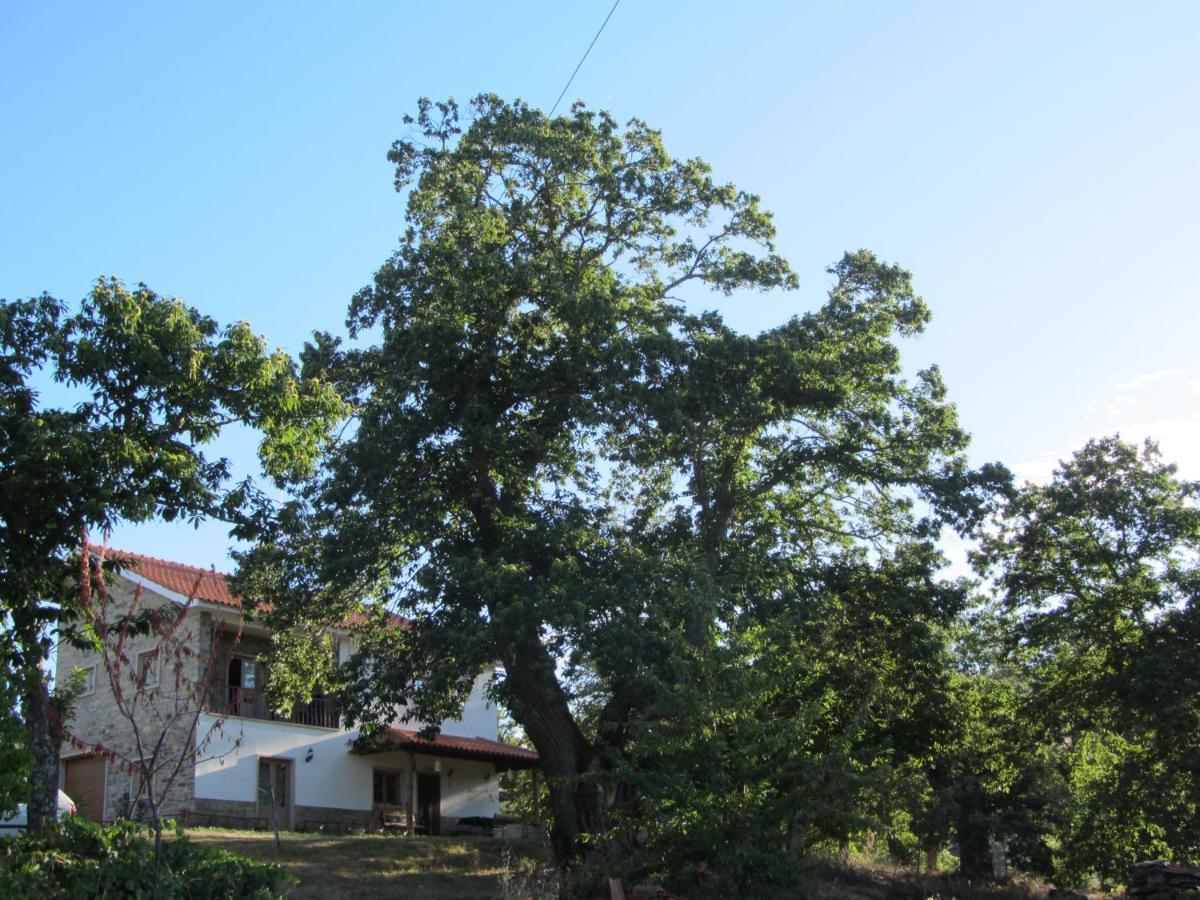 O Bilho Bed & Breakfast Vinhais Exterior foto
