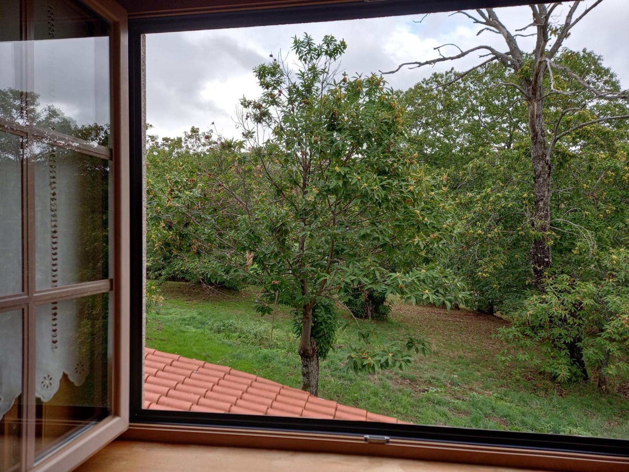O Bilho Bed & Breakfast Vinhais Exterior foto
